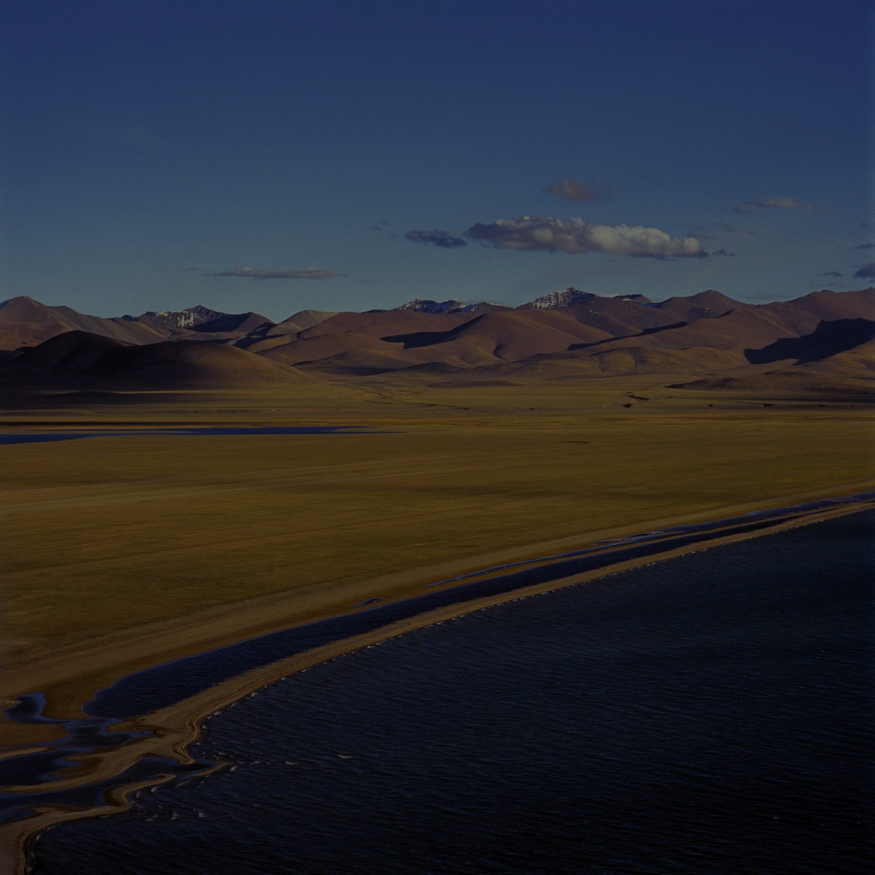 The Tibetan plateau — golden grasslands meet snow-capped mountains at dusk